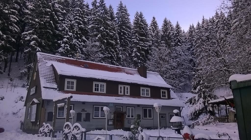 Waldpension Harzer Waldwinkel Bad Grund Zewnętrze zdjęcie