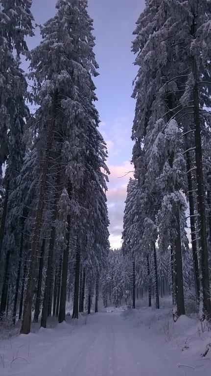 Waldpension Harzer Waldwinkel Bad Grund Zewnętrze zdjęcie