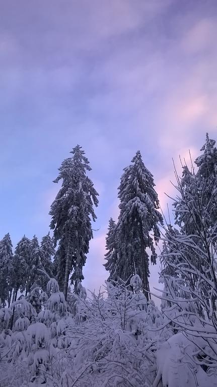 Waldpension Harzer Waldwinkel Bad Grund Zewnętrze zdjęcie