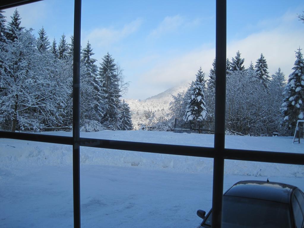 Waldpension Harzer Waldwinkel Bad Grund Zewnętrze zdjęcie