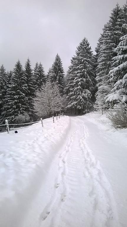 Waldpension Harzer Waldwinkel Bad Grund Zewnętrze zdjęcie
