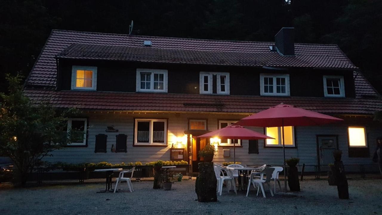 Waldpension Harzer Waldwinkel Bad Grund Zewnętrze zdjęcie