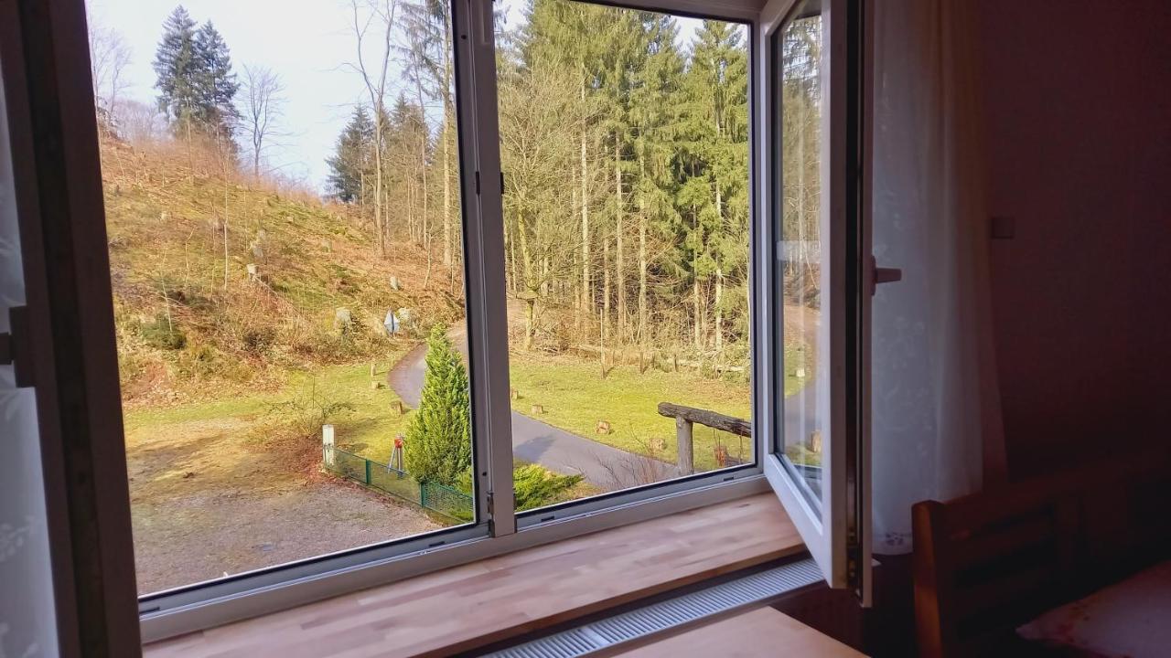Waldpension Harzer Waldwinkel Bad Grund Zewnętrze zdjęcie