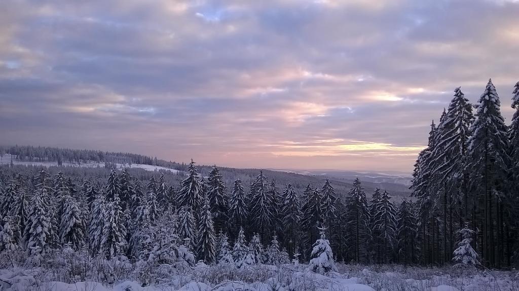 Waldpension Harzer Waldwinkel Bad Grund Zewnętrze zdjęcie
