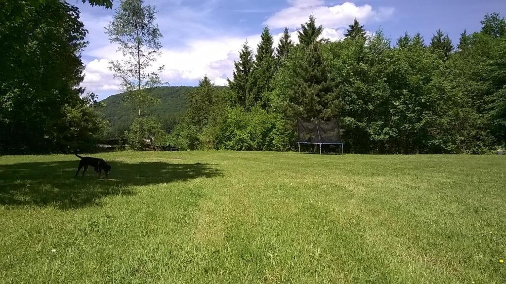 Waldpension Harzer Waldwinkel Bad Grund Zewnętrze zdjęcie